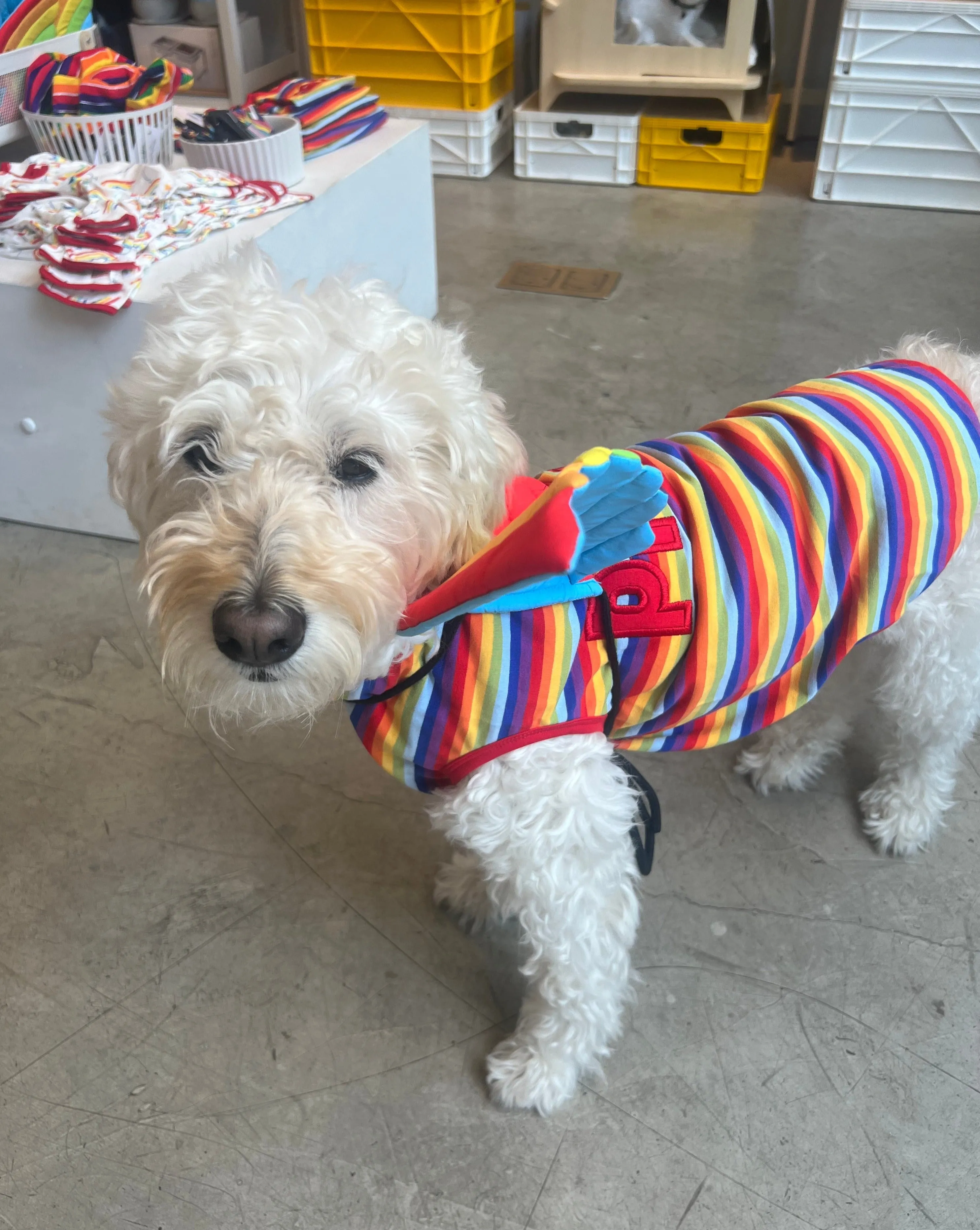 Proud Dog Rainbow Stripe Tank Top (CLEARANCE)